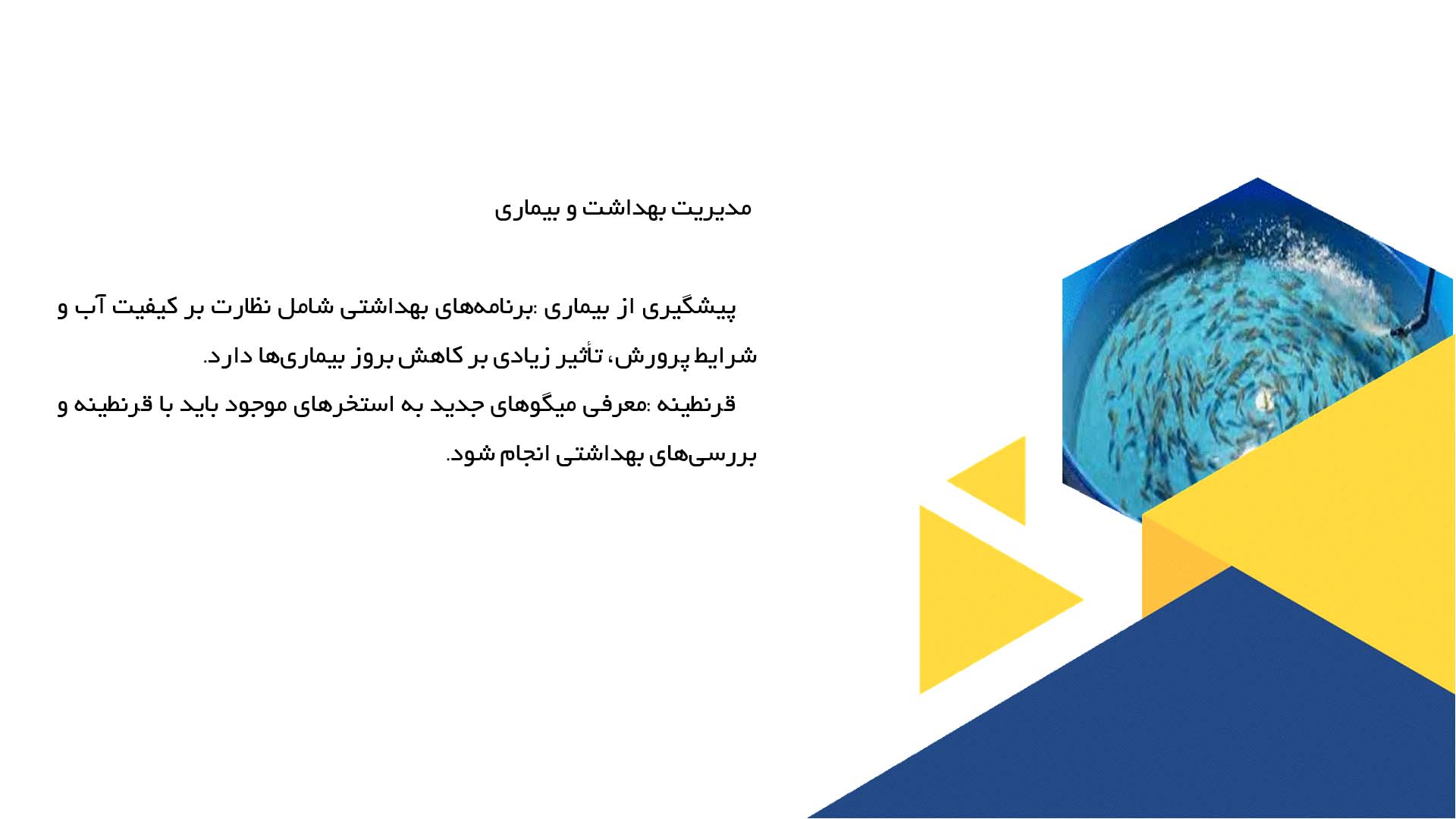 پاورپوینت در مورد پرورش میگو